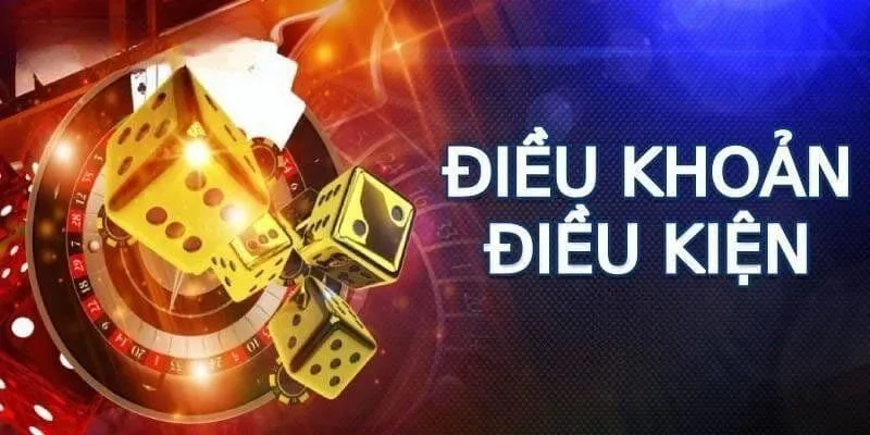 điều khoản và điều kiện điều khoản và điều kiện